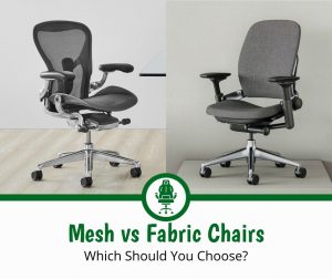 Mesh vs Fabric Chair: Which is Best for You? (2022) | Chair Insights